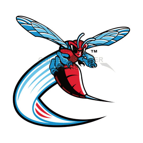 Customs Delaware State Hornets Iron-on Transfers (Wall Stickers)NO.4244